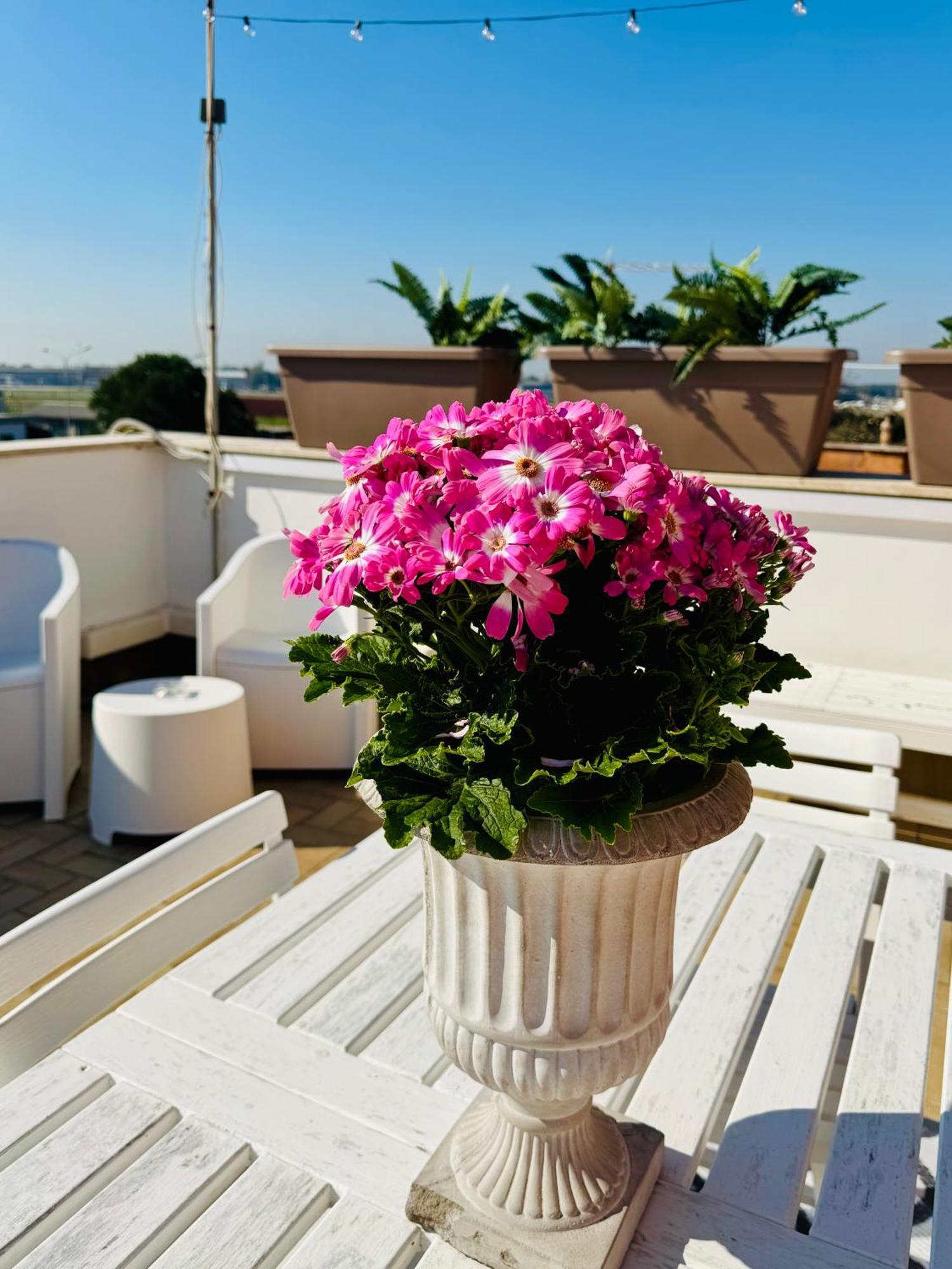 Fil Rouge Hotel Ciampino Exterior photo